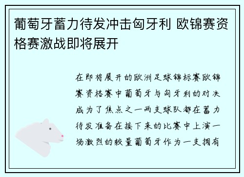 葡萄牙蓄力待发冲击匈牙利 欧锦赛资格赛激战即将展开