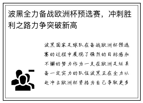 波黑全力备战欧洲杯预选赛，冲刺胜利之路力争突破新高