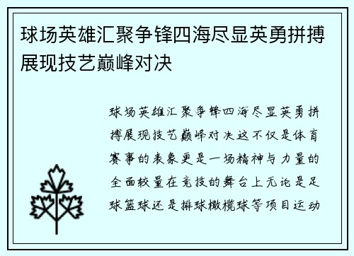 球场英雄汇聚争锋四海尽显英勇拼搏展现技艺巅峰对决